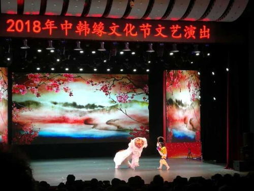 跨文化体验活动 中韩缘文化节公演圆满成功